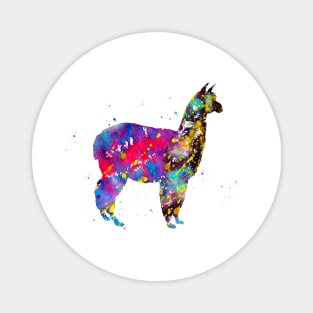 Alpaca Magnet